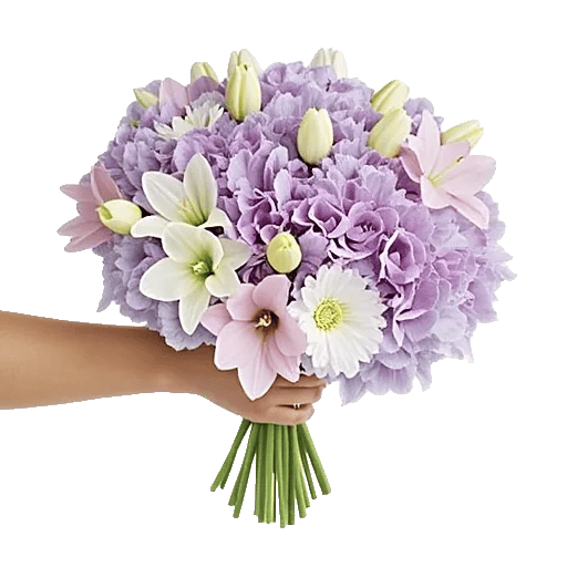 Serene Petal Harmony