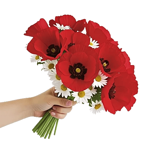 Blossom Harmony Display