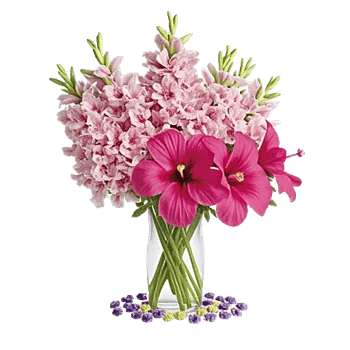 Petal Radiance Bliss