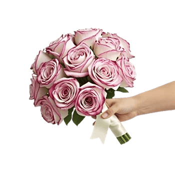 Blushing Rose Symphony