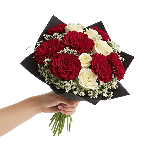 Crimson Rose Elegance