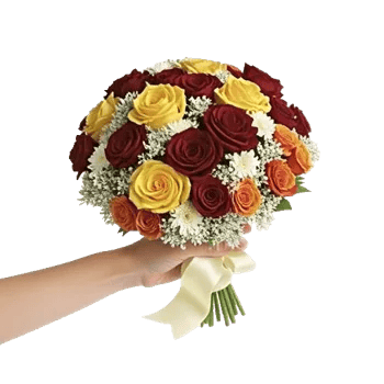 Blushing Rose Symphony