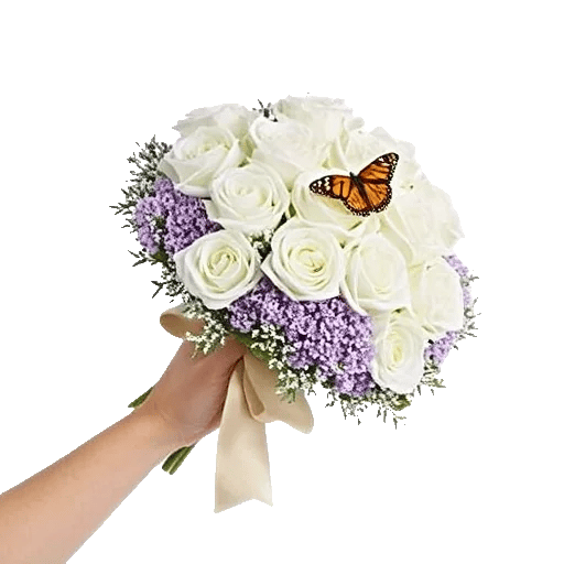 Blushing Rose Symphony