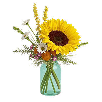 Radiant Bloom Cascade