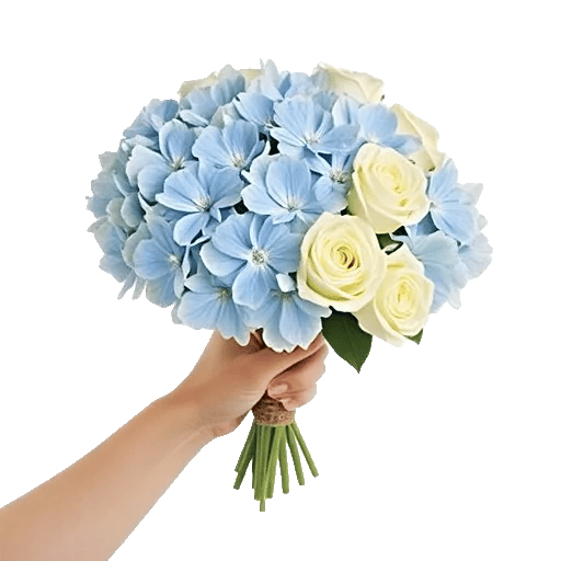 Serene Petal Harmony