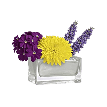 Petal Radiance Bliss