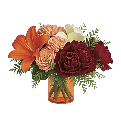 Petal Radiance Bliss