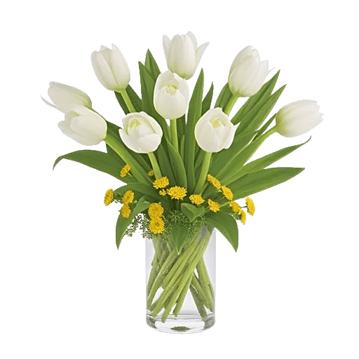 Velvet Tulip Display