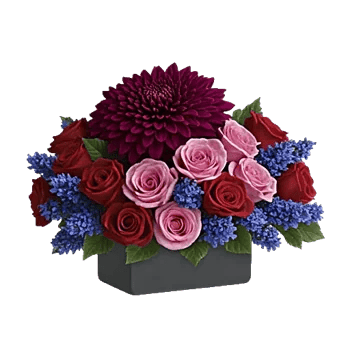 Crimson Blossom Harmony
