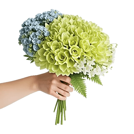 Serene Petal Harmony