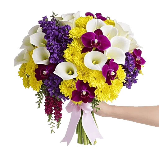 Elegant Calla Lilies