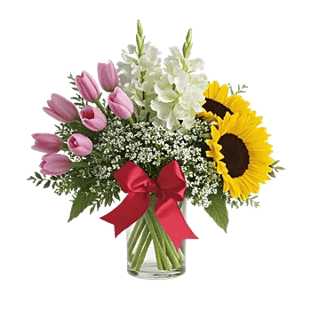 Velvet Tulip Display