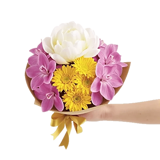Petal Grace Harmony