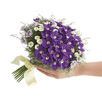 Rosemary Bloom Elegance