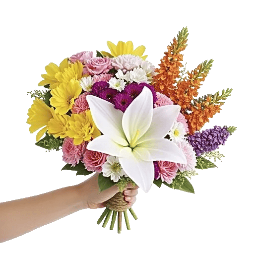 Blossom Harmony Display