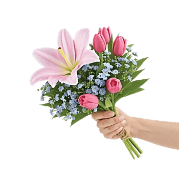 Blossom Petal Serenity