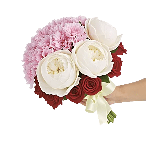 Petal Softness Display