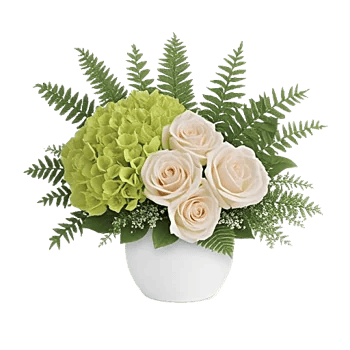 Minimalist White Orchids