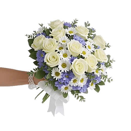 Ivory Garden Grace