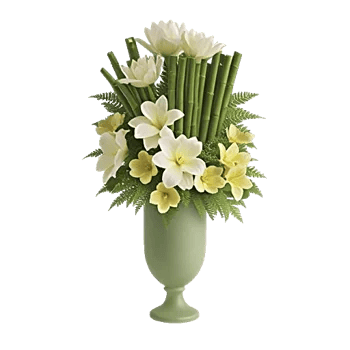 Serenity Orchid Bloom