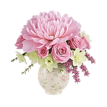 Peony Petal Harmony