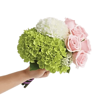 Serene Petal Harmony