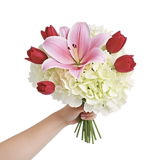 Blossom Harmony Display