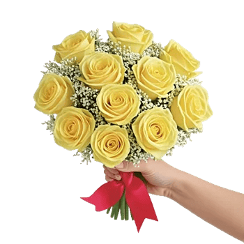 Blushing Rose Symphony