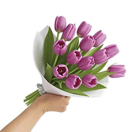 Velvet Tulip Display