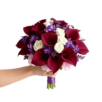 Elegant Calla Lilies