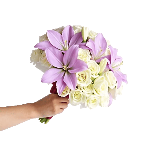 Elegant Calla Lilies