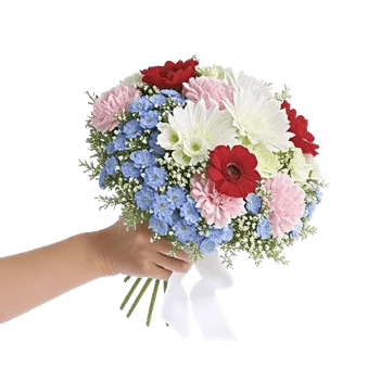 Blossom Petal Serenity