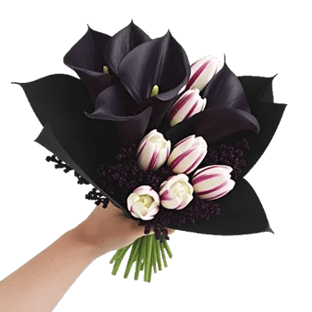 Elegant Calla Lilies