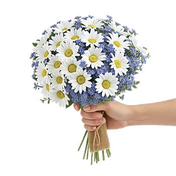 Delicate Petal Cascade