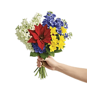 Blossom Harmony Display