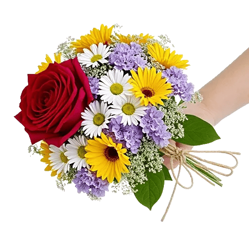 Crimson Rose Elegance