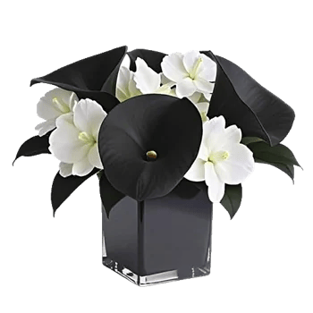 Elegant Calla Lilies