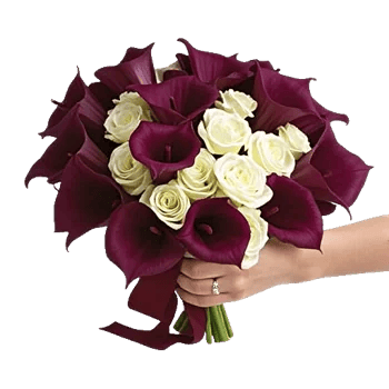 Elegant Calla Lilies