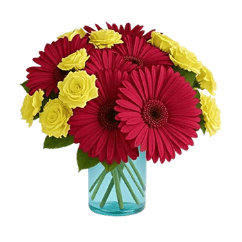 Petal Radiance Bliss