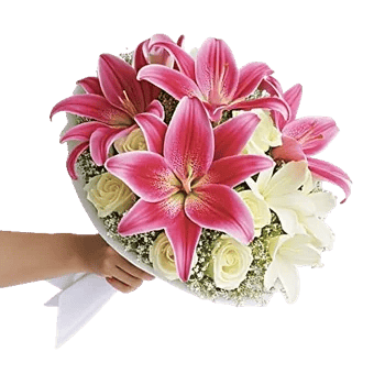 Blossom Harmony Display