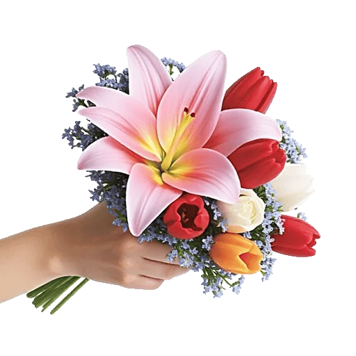 Blossom Harmony Display