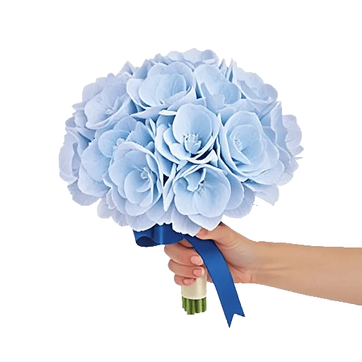 Serene Petal Harmony