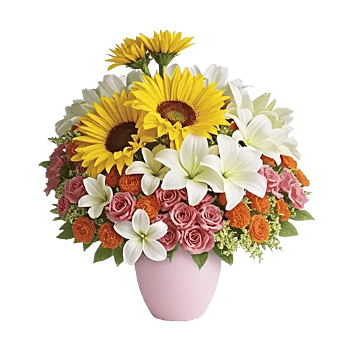 Petal Radiance Bliss