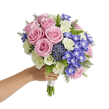 Pastel Pink Roses