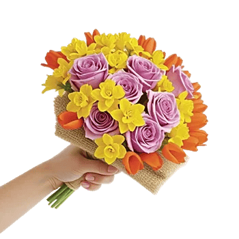 Blossom Harmony Display