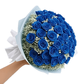 Elegant Blue Roses