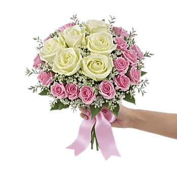 Pink Pastel Roses