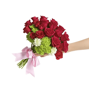 Blushing Rose Symphony