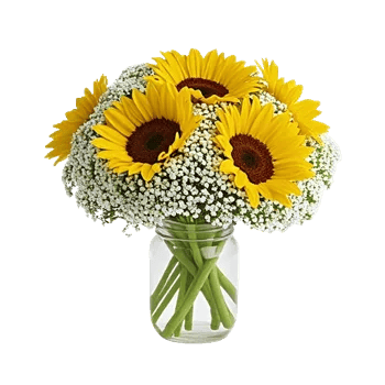 Ivory Blossom Radiance