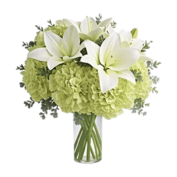 Ivory Blossom Radiance